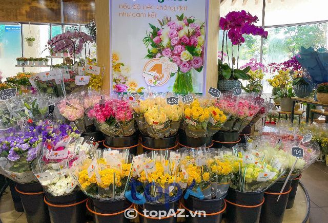 Thiên đường hoa tươi tại quận Tây Hồ