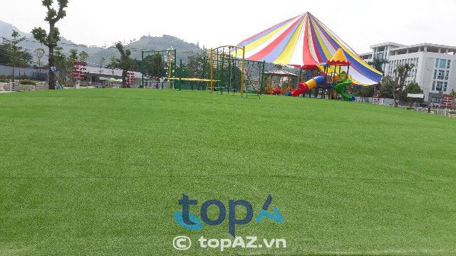 Địa chỉ uy tín cung cấp thảm cỏ nhân tạo chất lượng cao với giá thành ưu đãi