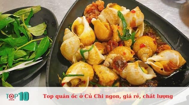 Ốc Như - Nghệ thuật chế biến ốc đỉnh cao