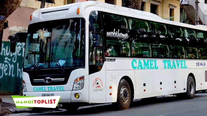 nha-xe-tuyen-ha-noi-tp-hcm-camel-travel