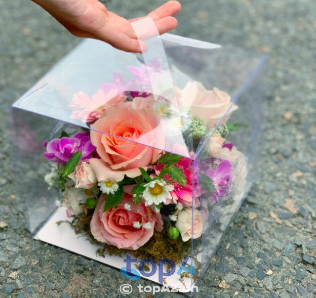 FloLi Cà Mau - Điểm hẹn của những sắc hoa tuyệt mỹ