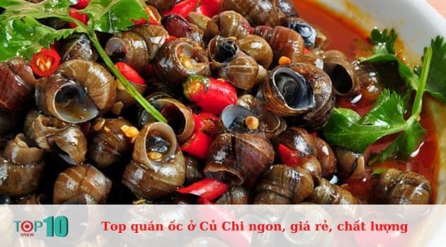 Ốc Gia Khang - Thiên đường ẩm thực đường phố
