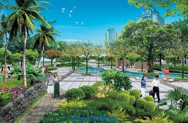 Cung cấp cây cảnh chất lượng vượt trội