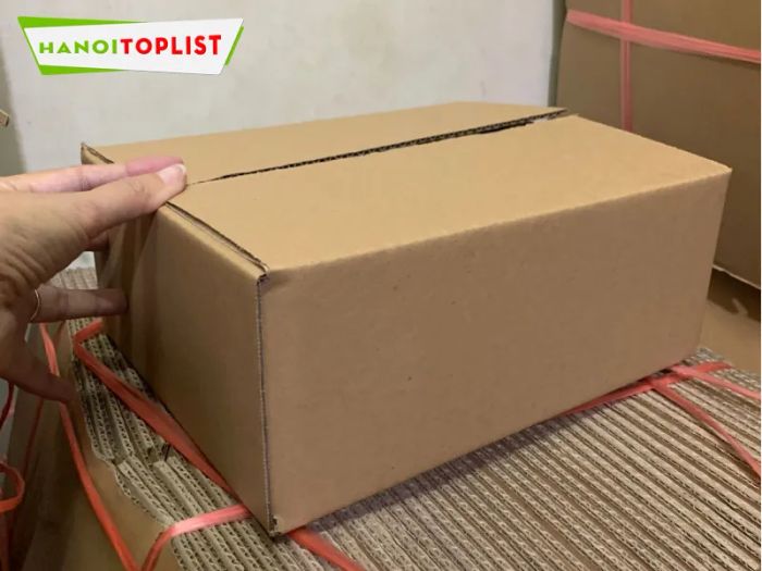cong-ty-bao-bi-thung-carton-bf-viet-nam-Tripi