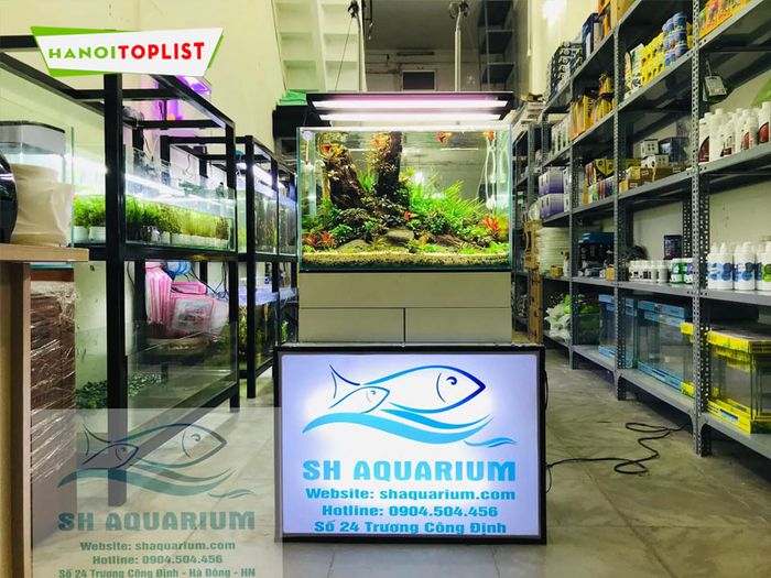 sh-aquarium-dia-chi-thuy-sinh-uy-tin-Mytour