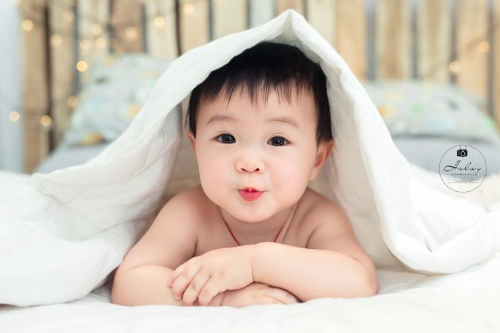 Halay Studio - Khoảnh khắc ngọt ngào 2