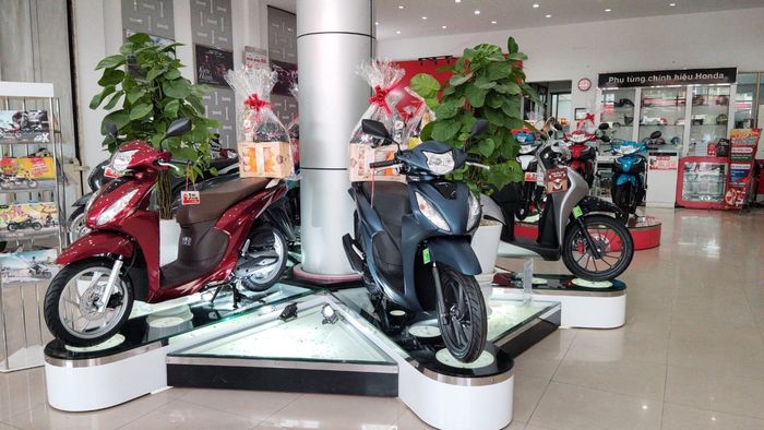 Hình ảnh showroom HEAD Minh Đông hiện đại