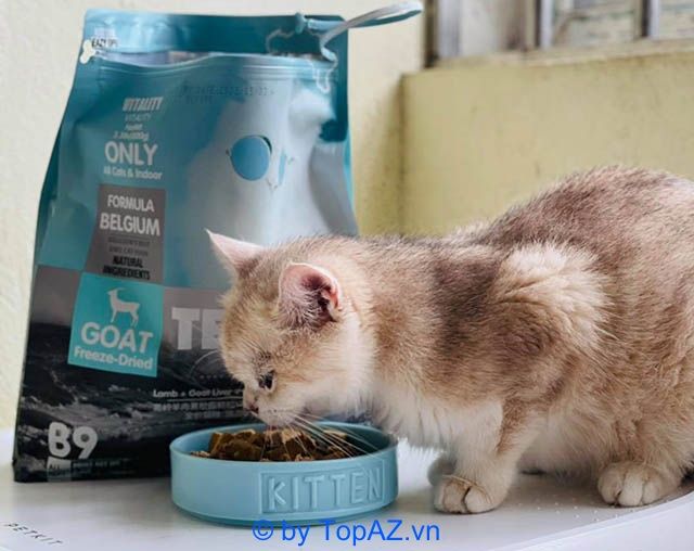 Địa chỉ uy tín cung cấp thức ăn cho chó mèo tại Hà Nội