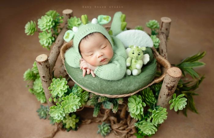 Baby House Studio - Bức ảnh đáng yêu 1