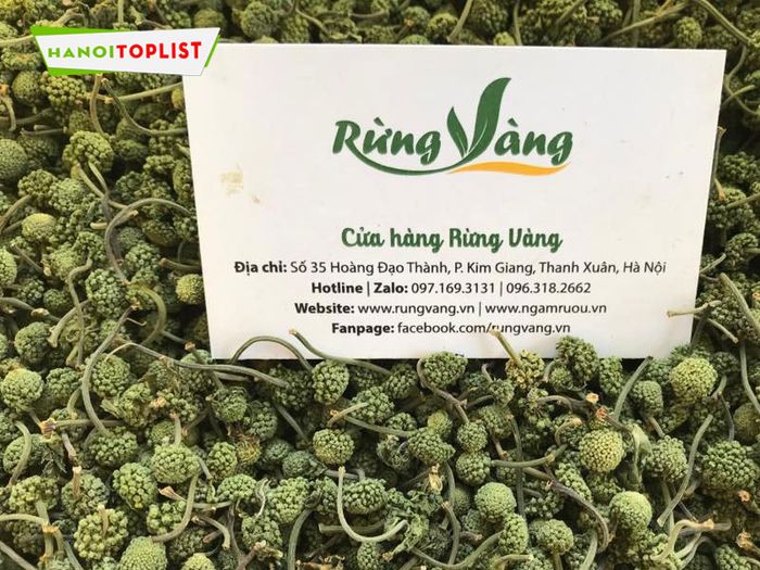 shop-rung-vang-dia-chi-uy-tin-nu-tam-that-ha-noi-Mytour
