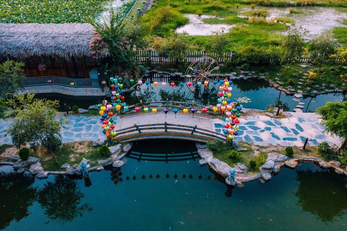 Hang Múa Ecolodge - Hồ bơi vô cực giữa mây trời và núi non, nơi du khách có thể thư giãn với view toàn cảnh Tam Cốc tuyệt đẹp.