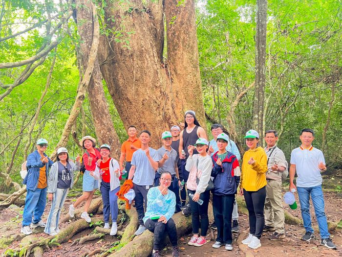 Những hoạt động team building sôi động cùng Đất Việt Tour (Ảnh 3)