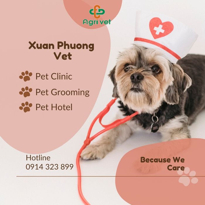 Không gian hiện đại tại Phòng Khám Thú Y Xuân Phương