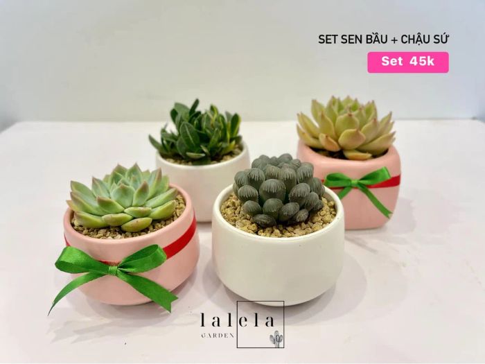 Hình ảnh Vườn Lalela 2