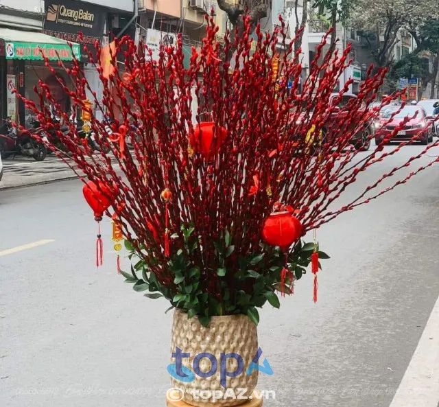 Địa chỉ cung cấp nụ tầm xuân Hà Nội chất lượng với mức giá phải chăng