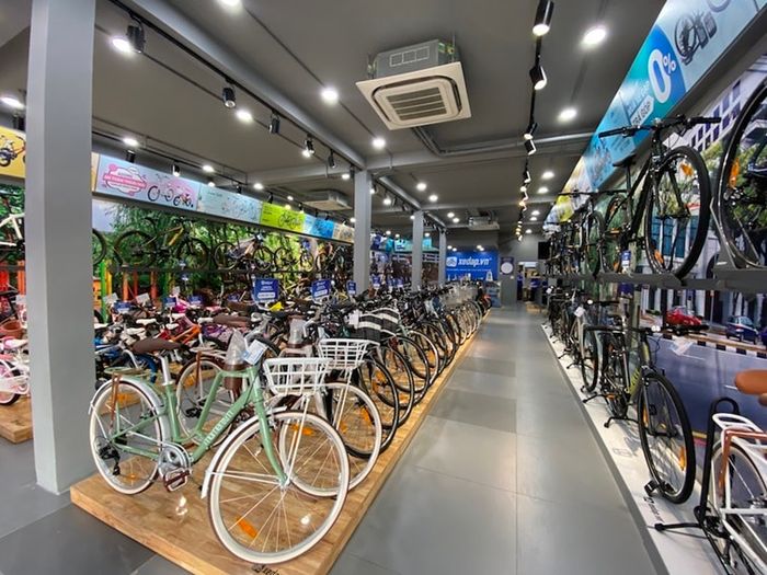 Xe Đạp Giant International
