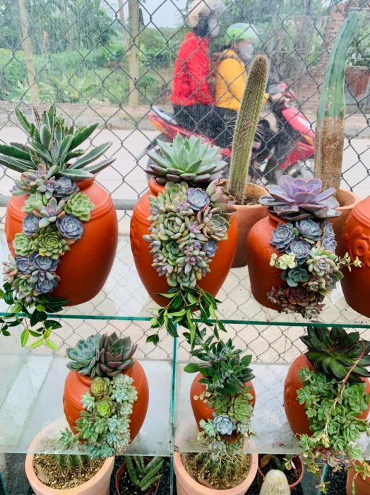 Hình ảnh Nhà Vườn Triều Phương 3