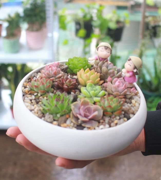 Hình ảnh Lọ Mọ Garden 2