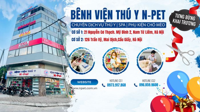 Khỏe Spa – Nơi phục hồi sức khỏe và thư giãn tuyệt vời