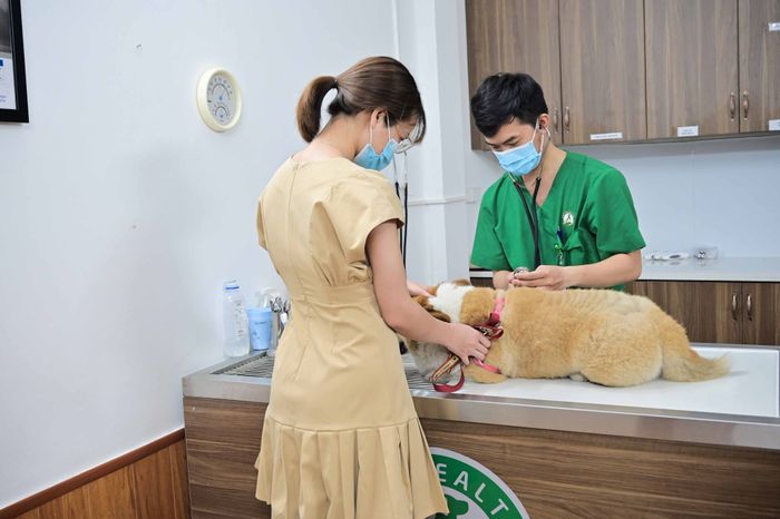 Không gian hiện đại tại Bệnh viện Thú Y PetHealth Mỹ Đình (ảnh 1)