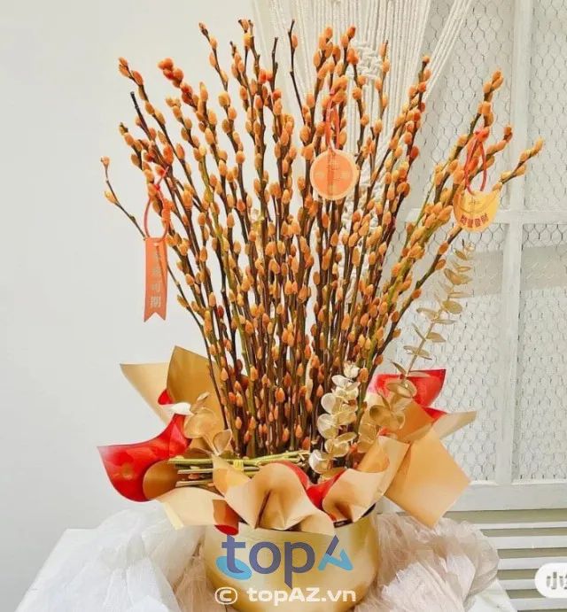 Địa chỉ cung cấp nụ tầm xuân chất lượng, uy tín bậc nhất tại Hà Nội