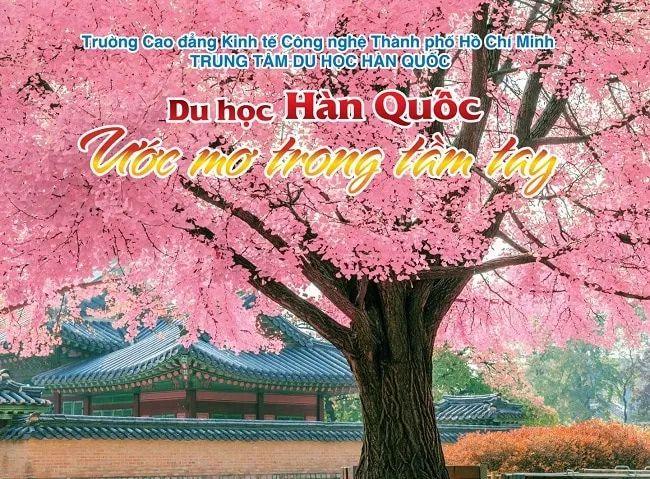 Điểm đến lý tưởng để học tiếng Hàn tại Hóc Môn