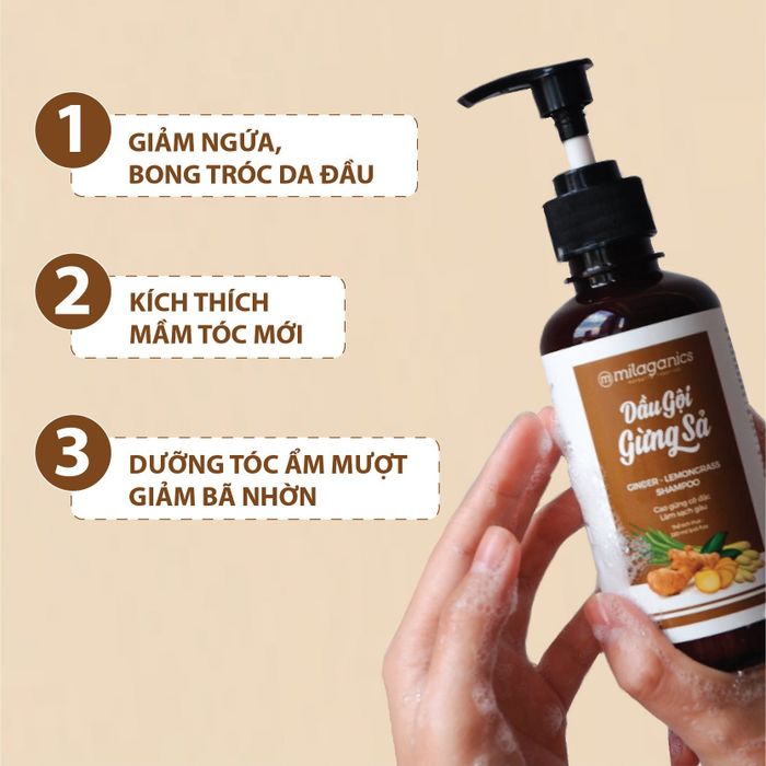 Hình ảnh chân thực Dầu Gội Gừng Sả Milaganics