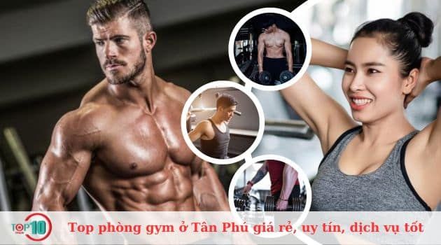 Danh sách phòng gym Tân Phú đẳng cấp với dịch vụ hoàn hảo
