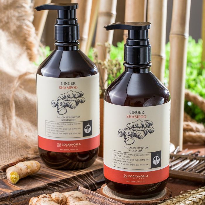 Hình ảnh Dầu Gội Gừng COCAYHOALA chính hãng