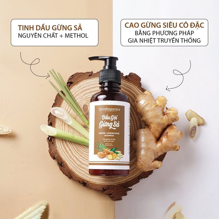 Bộ sưu tập hình ảnh Dầu Gội Gừng Sả Milaganics