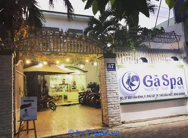Gà spa trị mụn Bình Dương