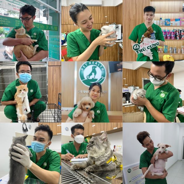 Bệnh viện thú y PetHealth