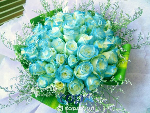 Địa chỉ vàng mua hoa sinh nhật cao cấp tại Tây Hồ