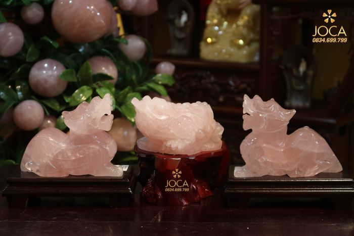Không gian trưng bày đá quý ấn tượng tại JOCA