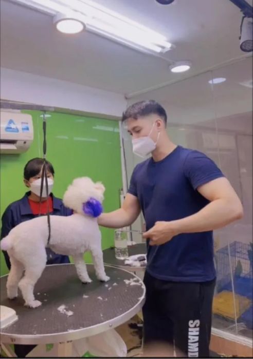 Dịch vụ spa thú cưng tại Quận 1