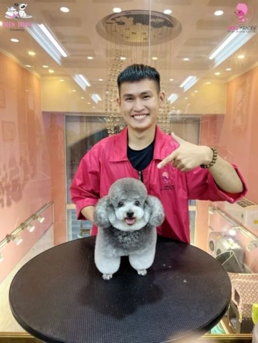 Địa chỉ spa chó mèo uy tín tại Quận 1