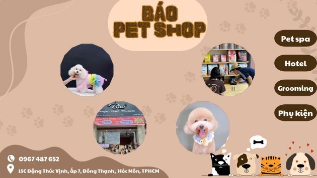 Báo Petshop - Điểm hẹn tin cậy cho thú cưng