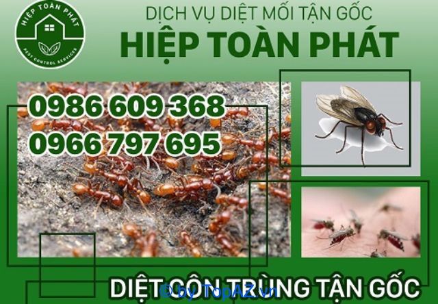 Hiệp Toàn Phát là một đơn vị nổi bật tại TP.HCM chuyên cung cấp dịch vụ diệt mối và diệt côn trùng với chất lượng cao và dịch vụ uy tín.