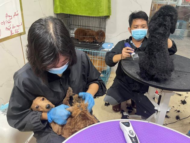 Thanh Vy Petcare - Đồng hành cùng sức khỏe thú cưng