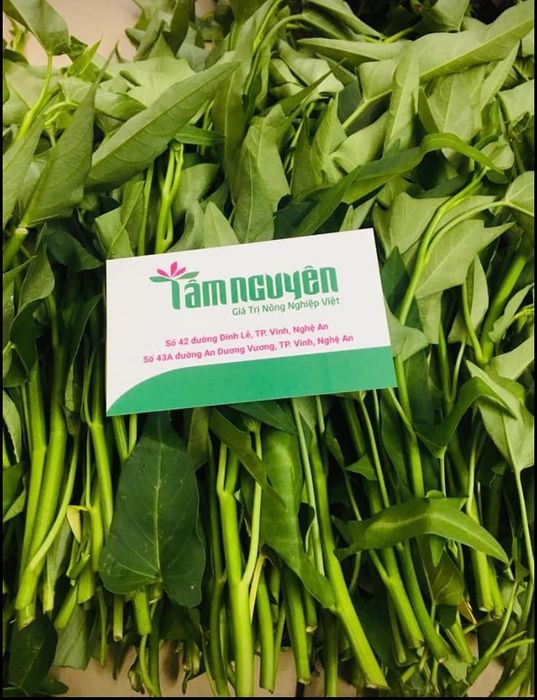 Tâm Nguyên - Không gian trưng bày thực phẩm hữu cơ
