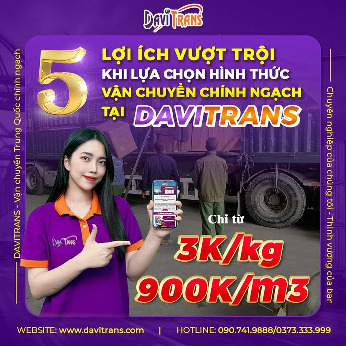 Hình ảnh đội ngũ chuyên nghiệp Davitrans