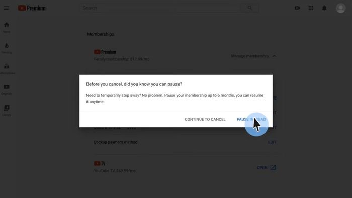 Hướng dẫn từng bước ngừng dịch vụ YouTube Premium trả phí trên iPhone - bước ba
