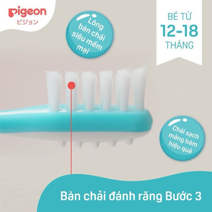 Hình ảnh thực tế bàn chải Pigeon Bước 3 từ nhiều góc nhìn