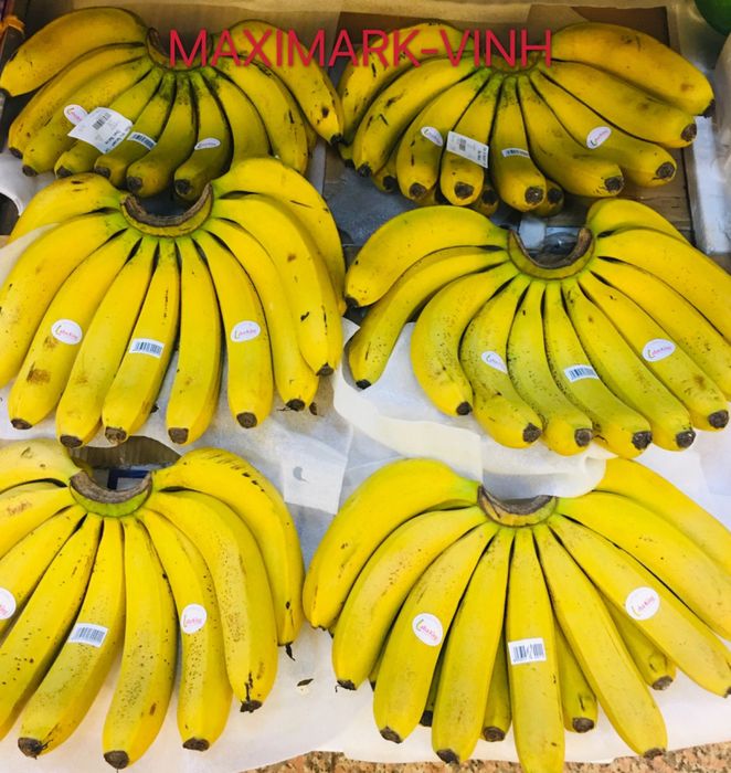 Siêu Thị Maximark Vinh - Không gian trưng bày đa dạng sản phẩm
