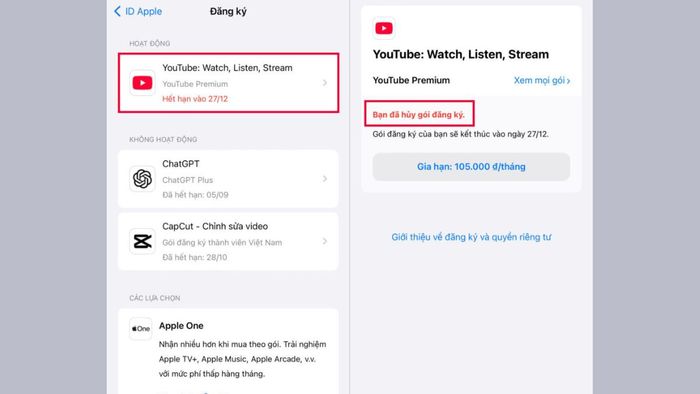Hướng dẫn chi tiết cách chấm dứt gói YouTube Premium trial trên iPhone - bước cuối cùng
