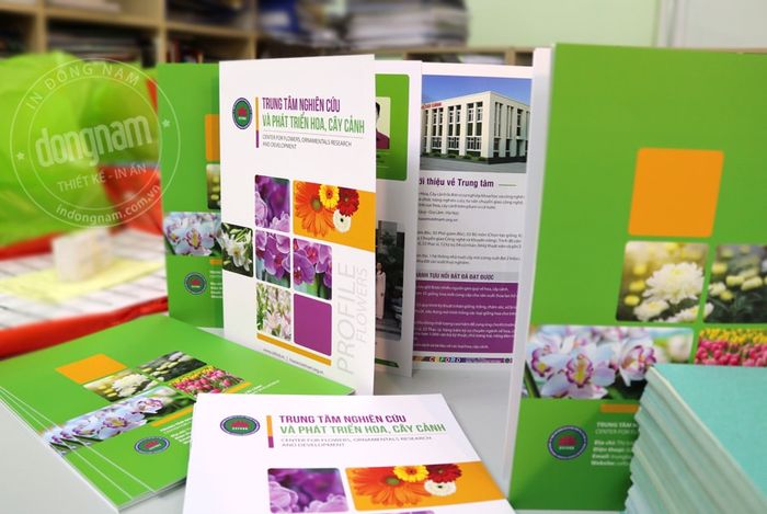 Thư viện hình ảnh sản phẩm đa dạng từ In Đông Nam