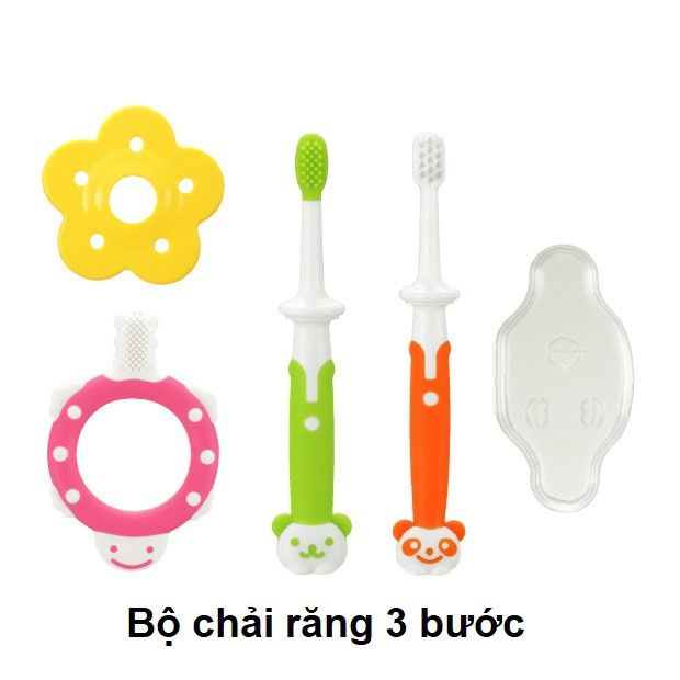Hình ảnh thực tế bàn chải Richell từ nhiều góc chụp