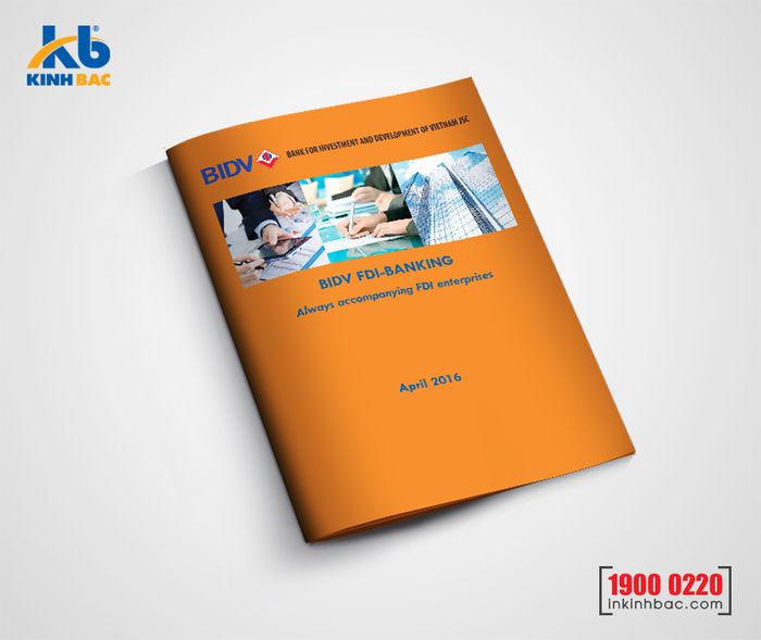 Bộ sưu tập catalogue chuẩn màu từ In Kinh Bắc