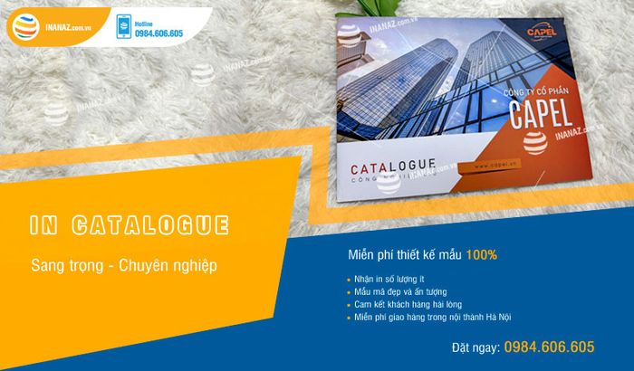 Bộ sưu tập catalogue ấn tượng từ In ấn AZ