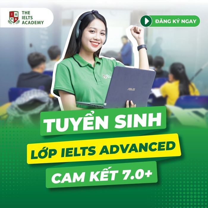 Hoạt động giảng dạy tại The IELTS Academy